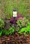 Borne lumineuse Locos LED - Garden Light